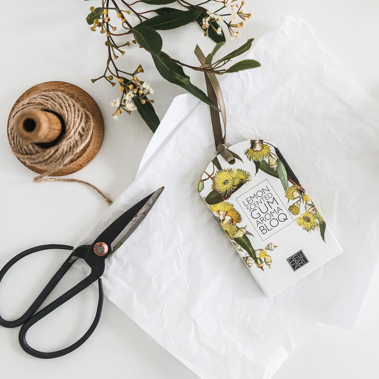 Lemon Scented Gum Bloq