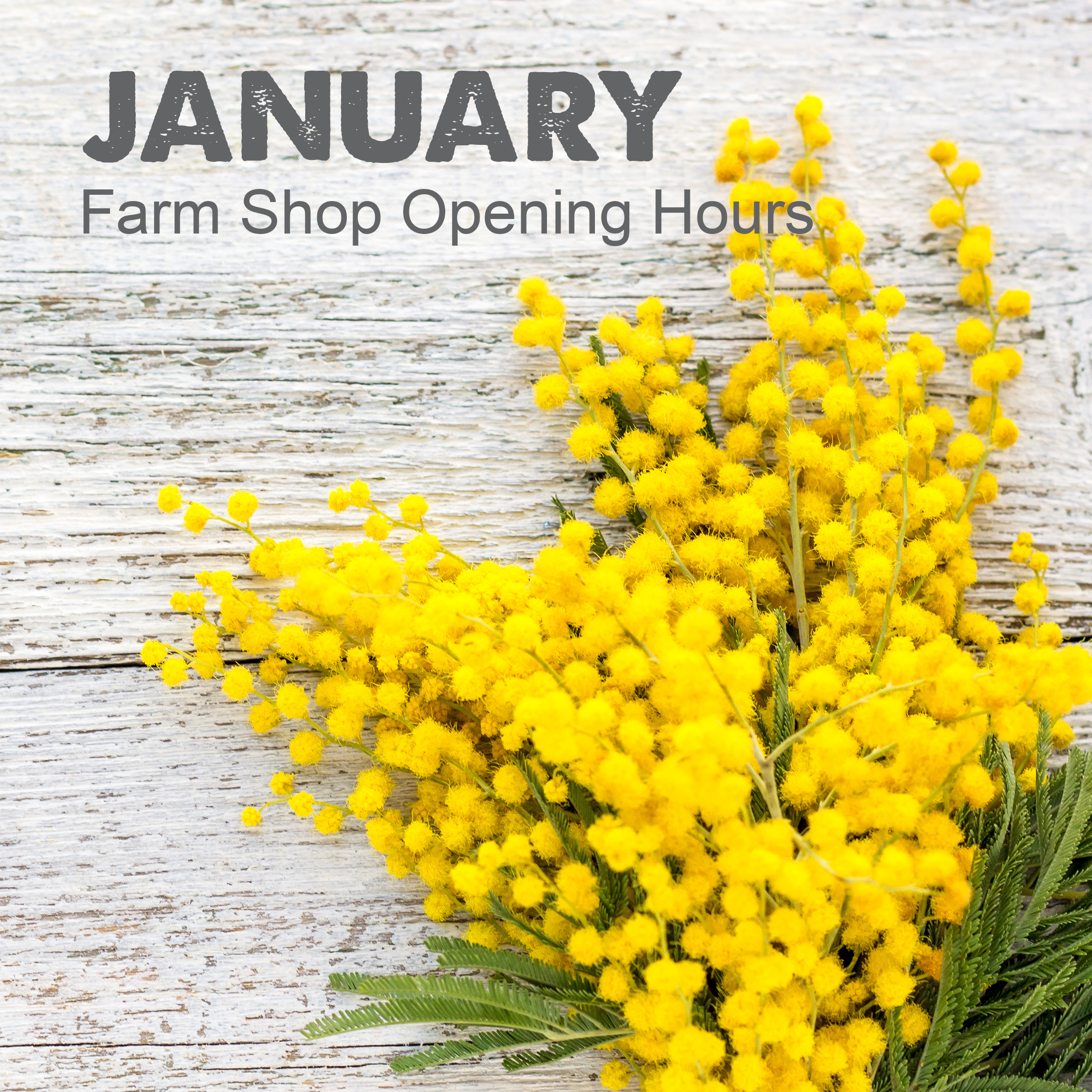 January Farm Shop Opening Hours